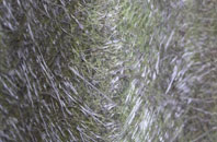 Skewen fibreglass roof work